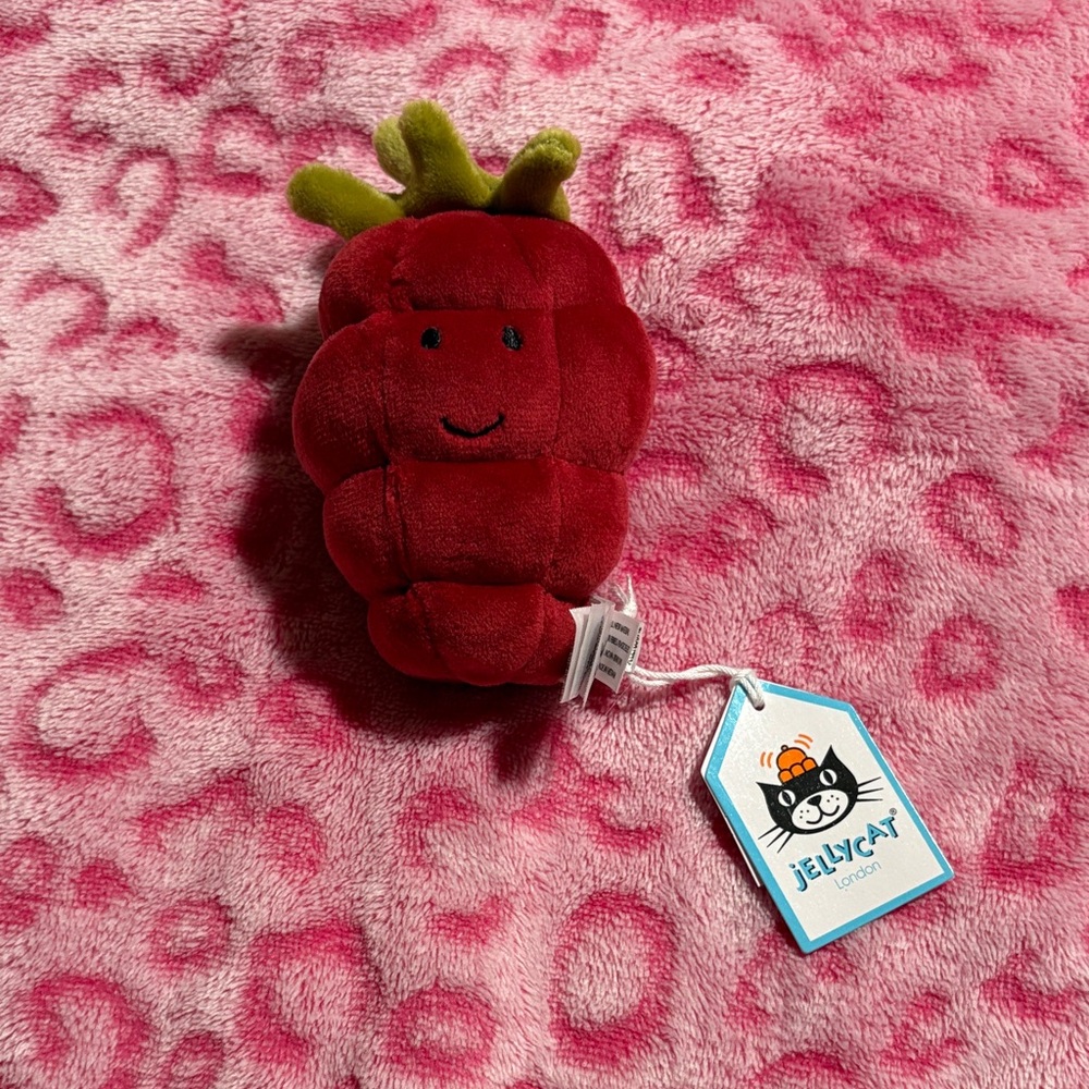 Retired Jellycat Raspberry *SMALL HOLE*